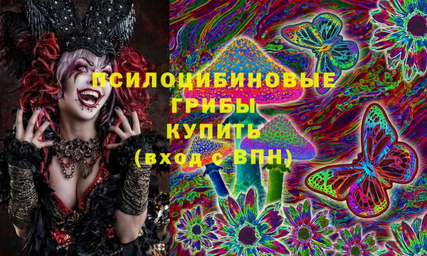 твердый Саяногорск