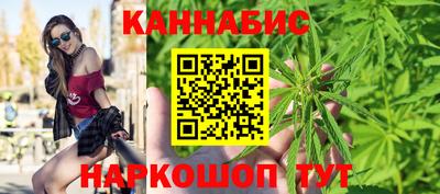 мяу мяу мука Гай