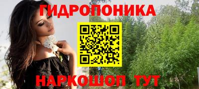 стаф Гагарин