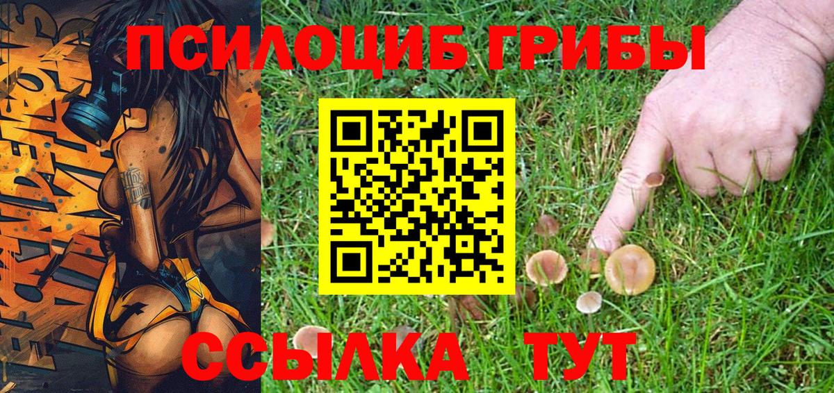 Коркино  Псилоцибиновые грибы прущие грибы  Псилоцибиновые грибы MAGIC MUSHROOMS  Вход с VPN 